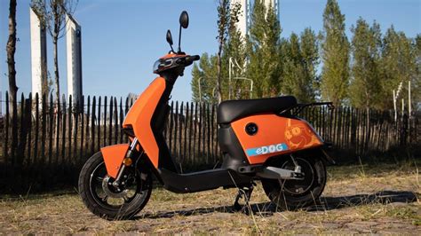 edog bordeaux|Scooter 